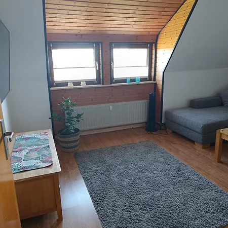 Apartment Waschbaer
