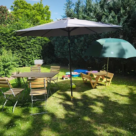 Waschbaer Waldeck (Hessen)