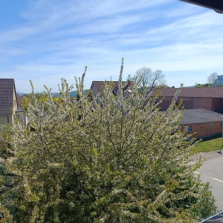 Waschbaer Apartment Waldeck (Hessen)